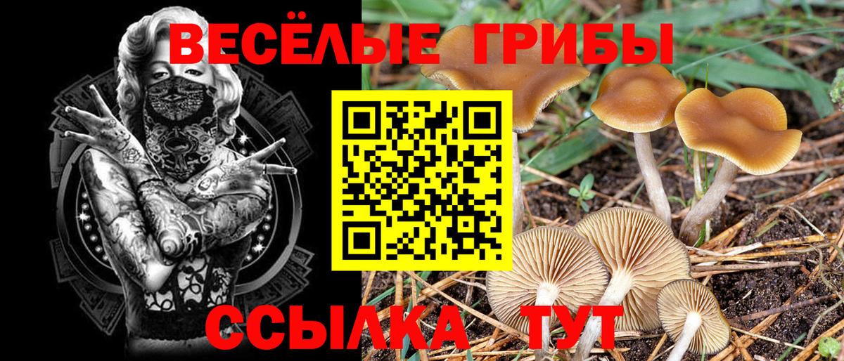 Мелеуз  купить  сайты  Вход с VPN  Псилоцибиновые грибы Magic Shrooms 